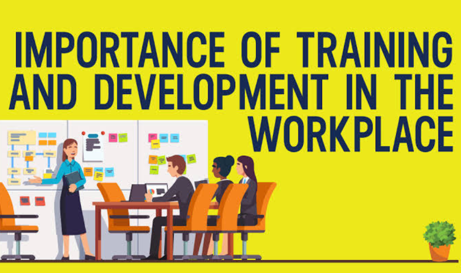 Why Employee Training Matters in Today's Workplacet